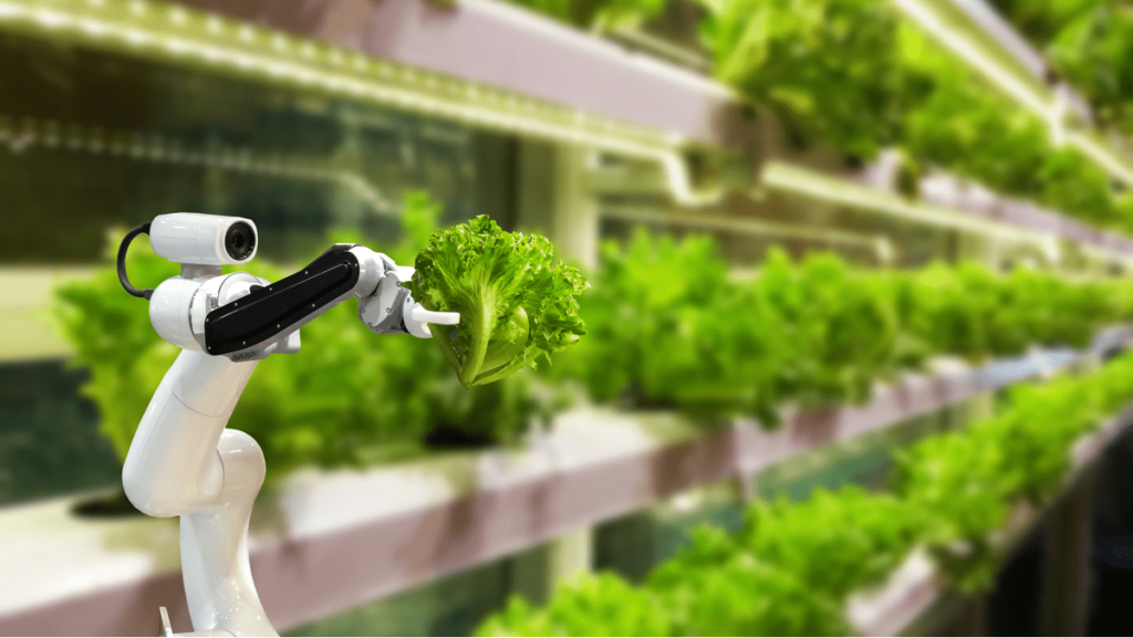 Embracing AI's Ability To Boost The Agricultural Industry
